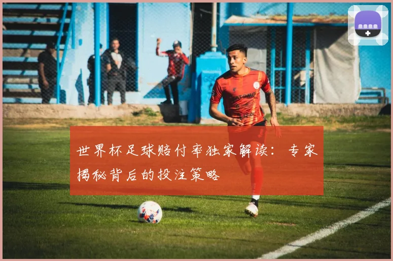 世界杯足球赔付率独家解读：专家揭秘背后的投注策略