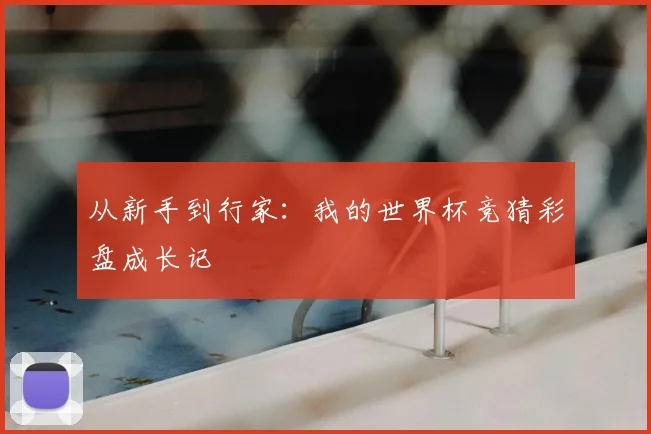 从新手到行家：我的世界杯竞猜彩盘成长记