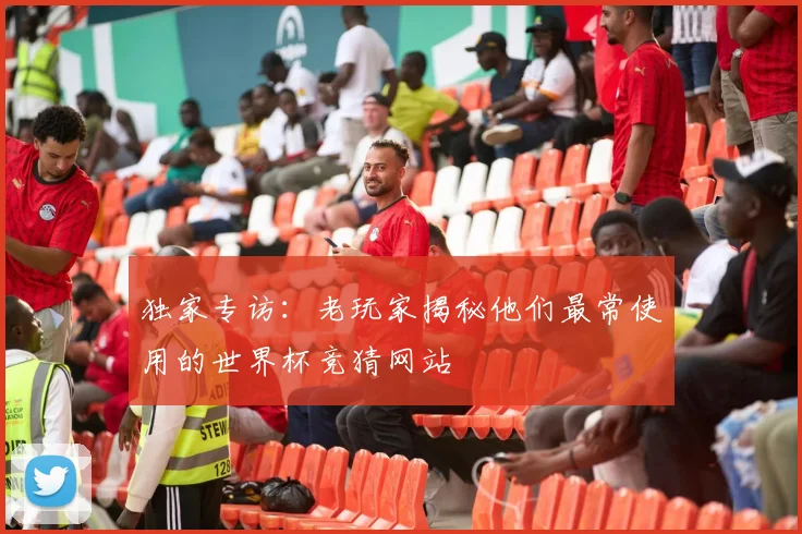 独家专访:老玩家揭秘他们最常使用的世界杯竞猜网站
