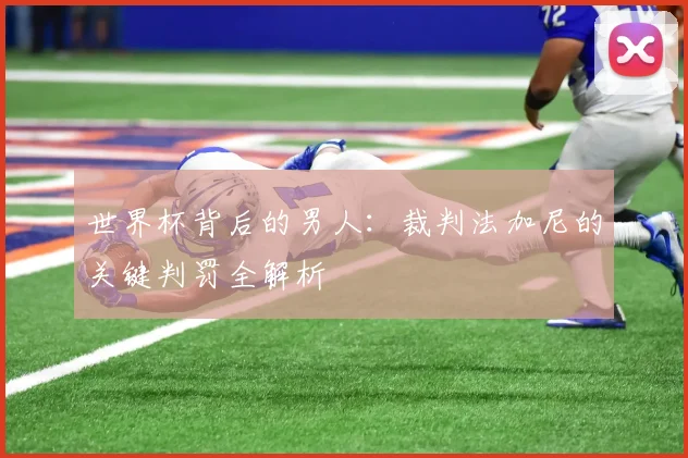 世界杯背后的男人：裁判法加尼的关键判罚全解析