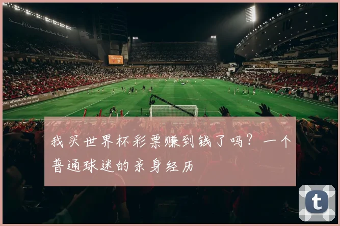 我买世界杯彩票赚到钱了吗?一个普通球迷的亲身经历