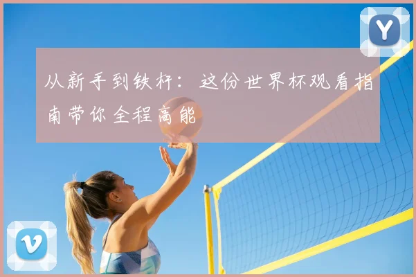 从新手到铁杆：这份世界杯观看指南带你全程高能