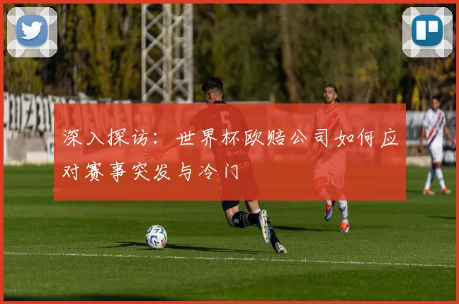 深入探访:世界杯欧赔公司如何应对赛事突发与冷门