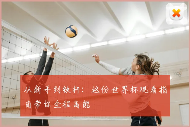 从新手到铁杆：这份世界杯观看指南带你全程高能