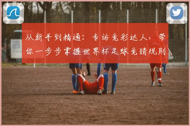 从新手到精通：专访竞彩达人，带你一步步掌握世界杯足球竞猜规则