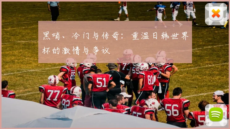 黑哨、冷门与传奇:重温日韩世界杯的激情与争议