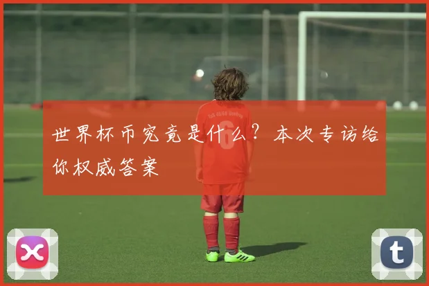 世界杯币究竟是什么？本次专访给你权威答案