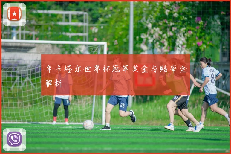 年卡塔尔世界杯冠军奖金与赔率全解析