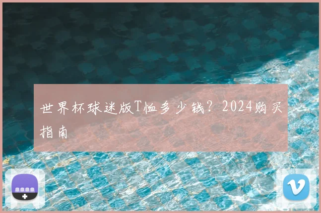 世界杯球迷版T恤多少钱?2024购买指南