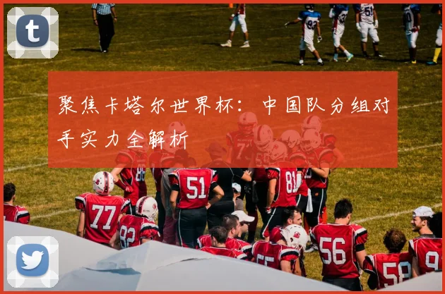 聚焦卡塔尔世界杯:中国队分组对手实力全解析